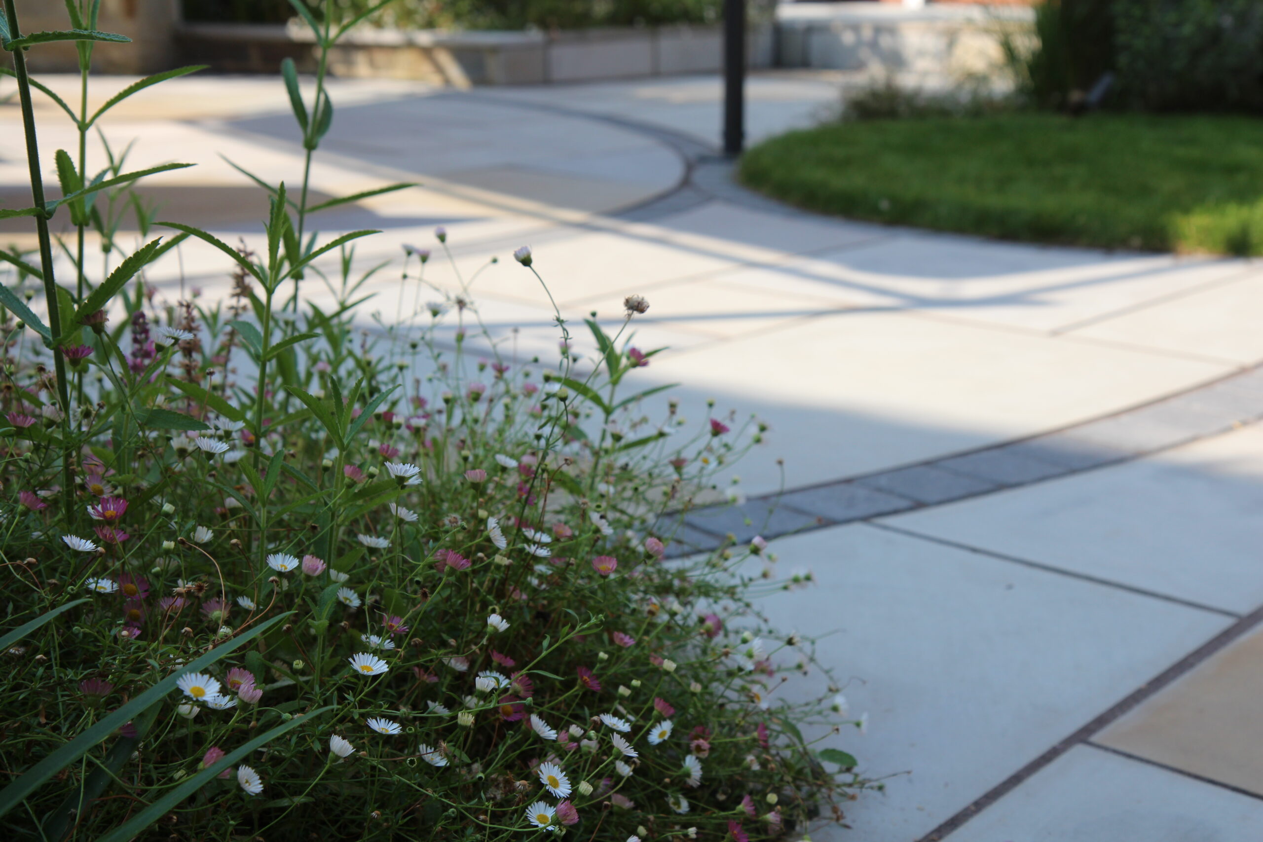 27 August 2019 (13)