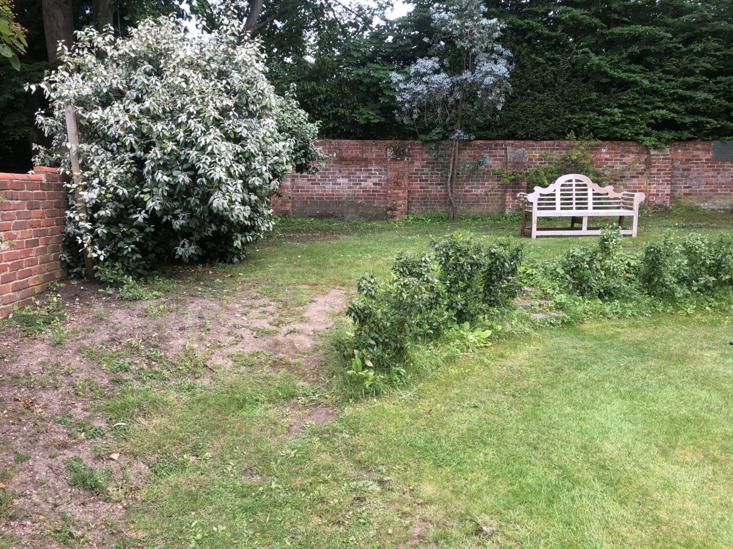 Henley Garden Before 1