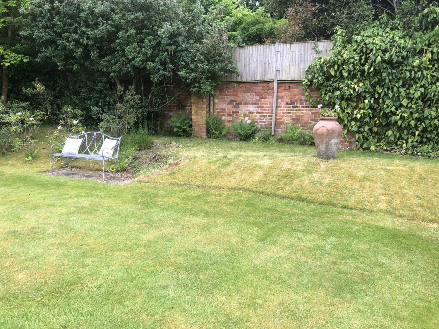 Henley Garden Before 2